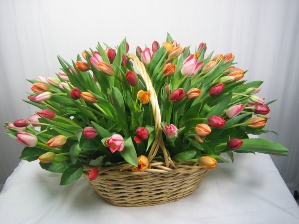 Корзина цветов "101 тюльпан"